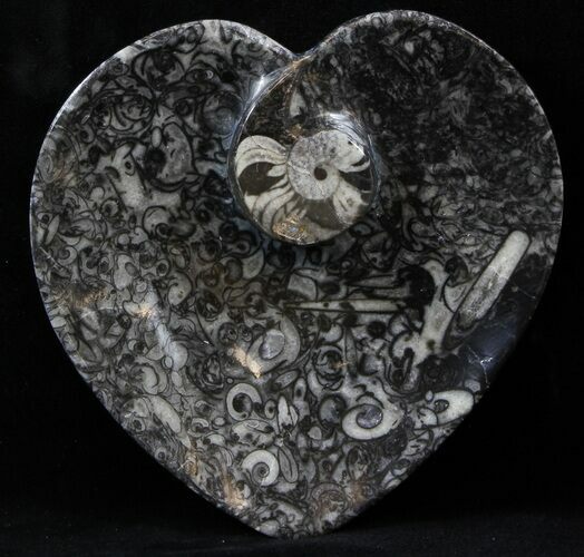 Heart Shaped Fossil Goniatite Dish #39318